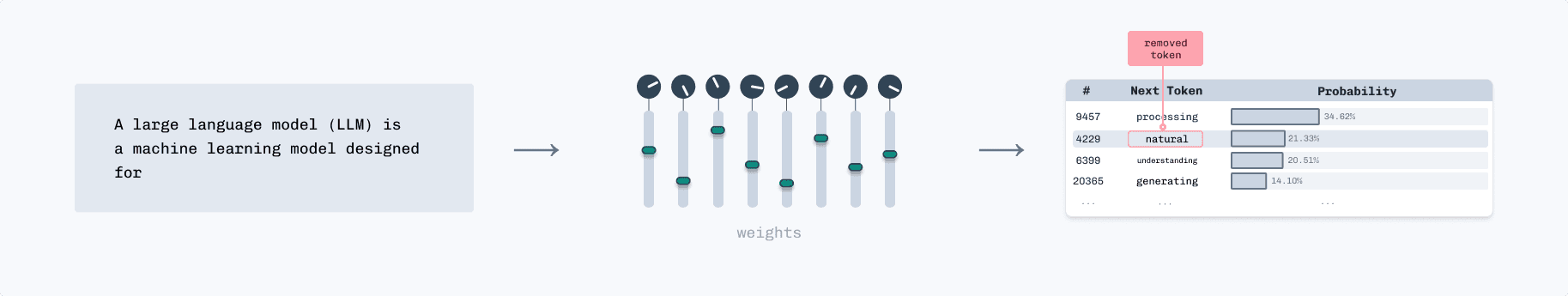 Visualization of model's prediction process during training